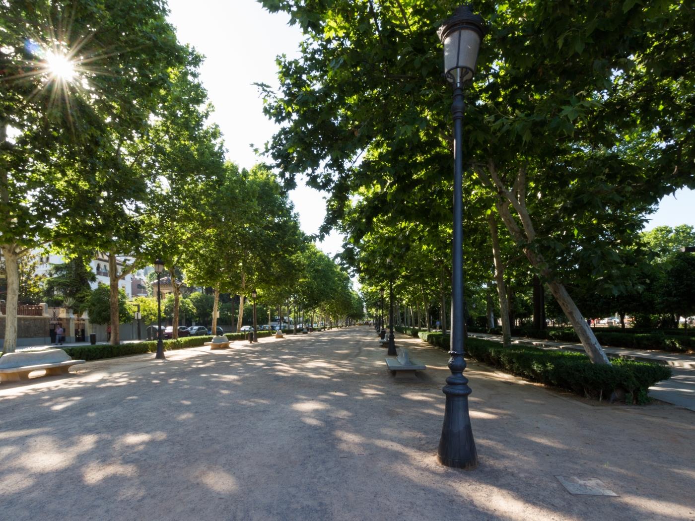 Apto Paseo del Salón. Penthouse central avec une grande terrasse. à Granada