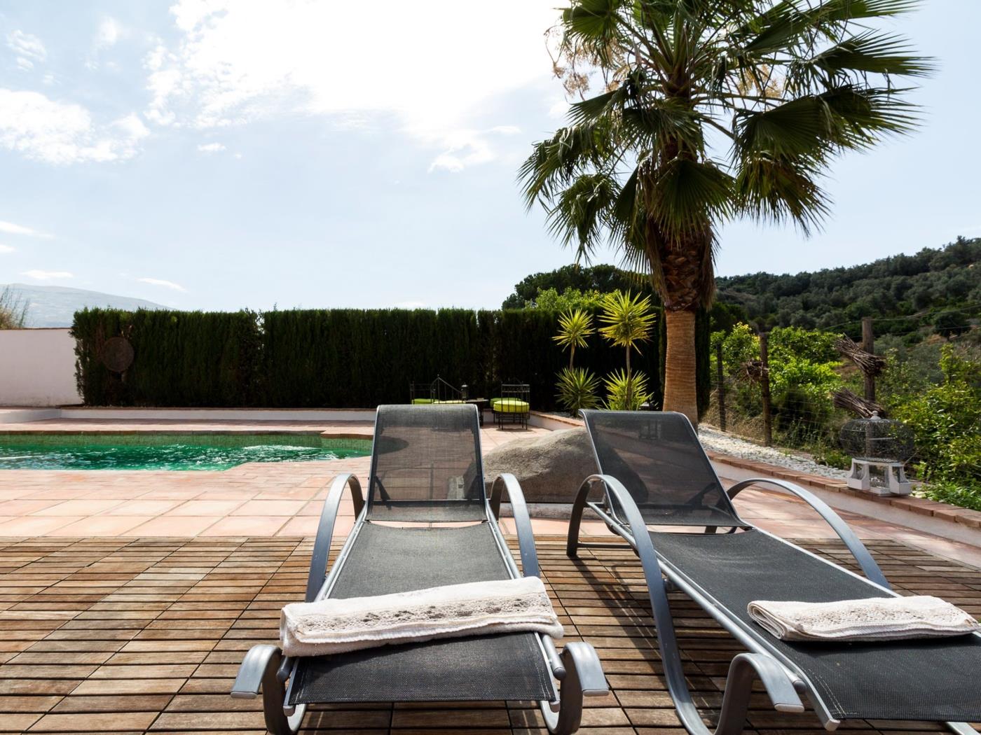 Magnificent house with pool, garden and views in Saleres