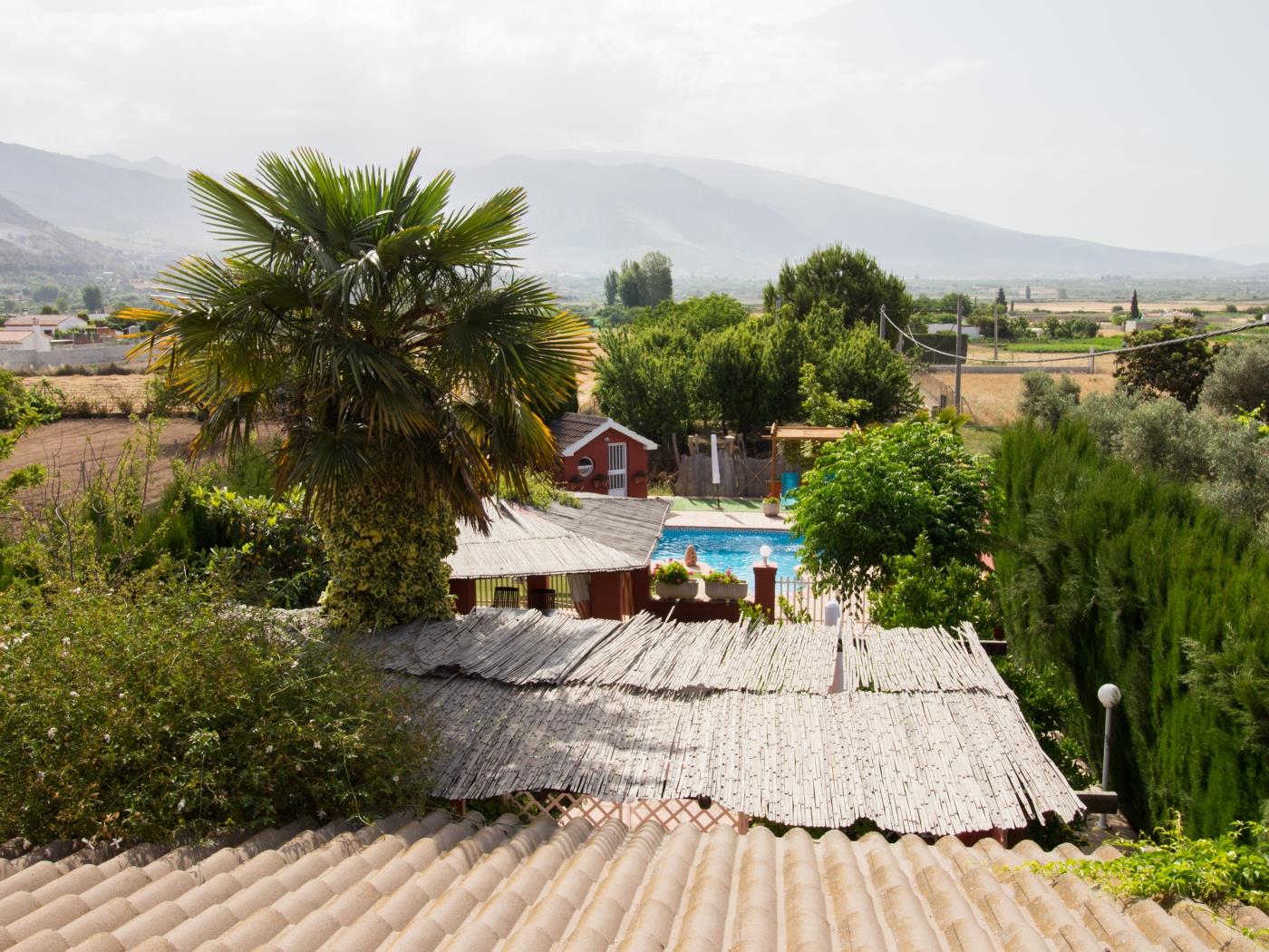 Casa El Rosal Blanco in Padul