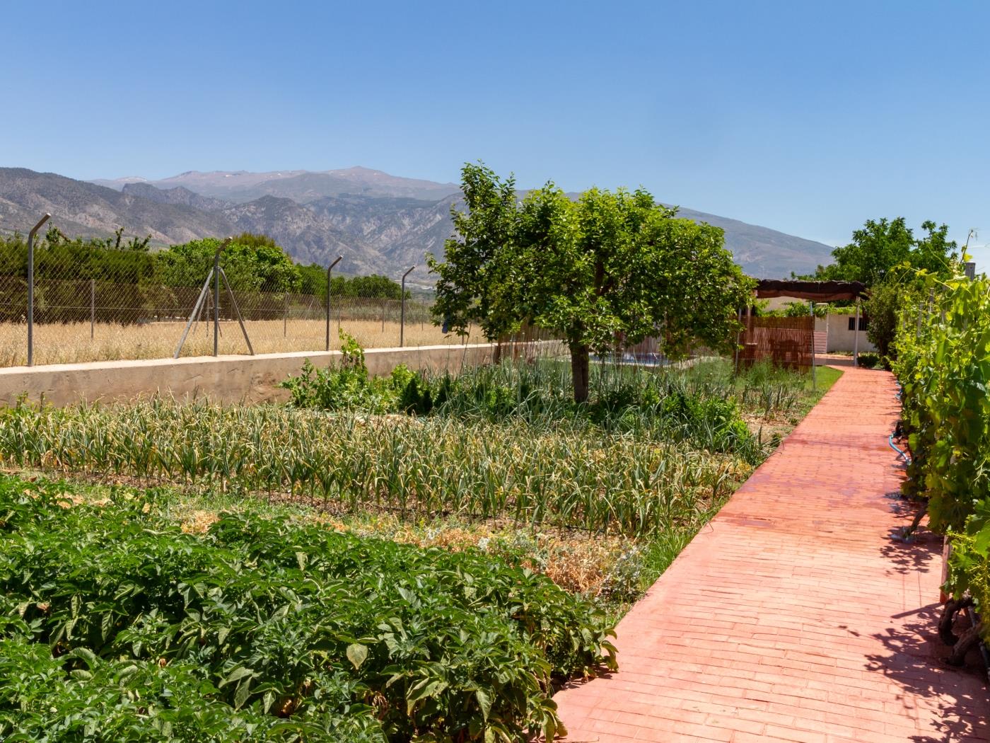 Cortijo La Flor del valle in Padul