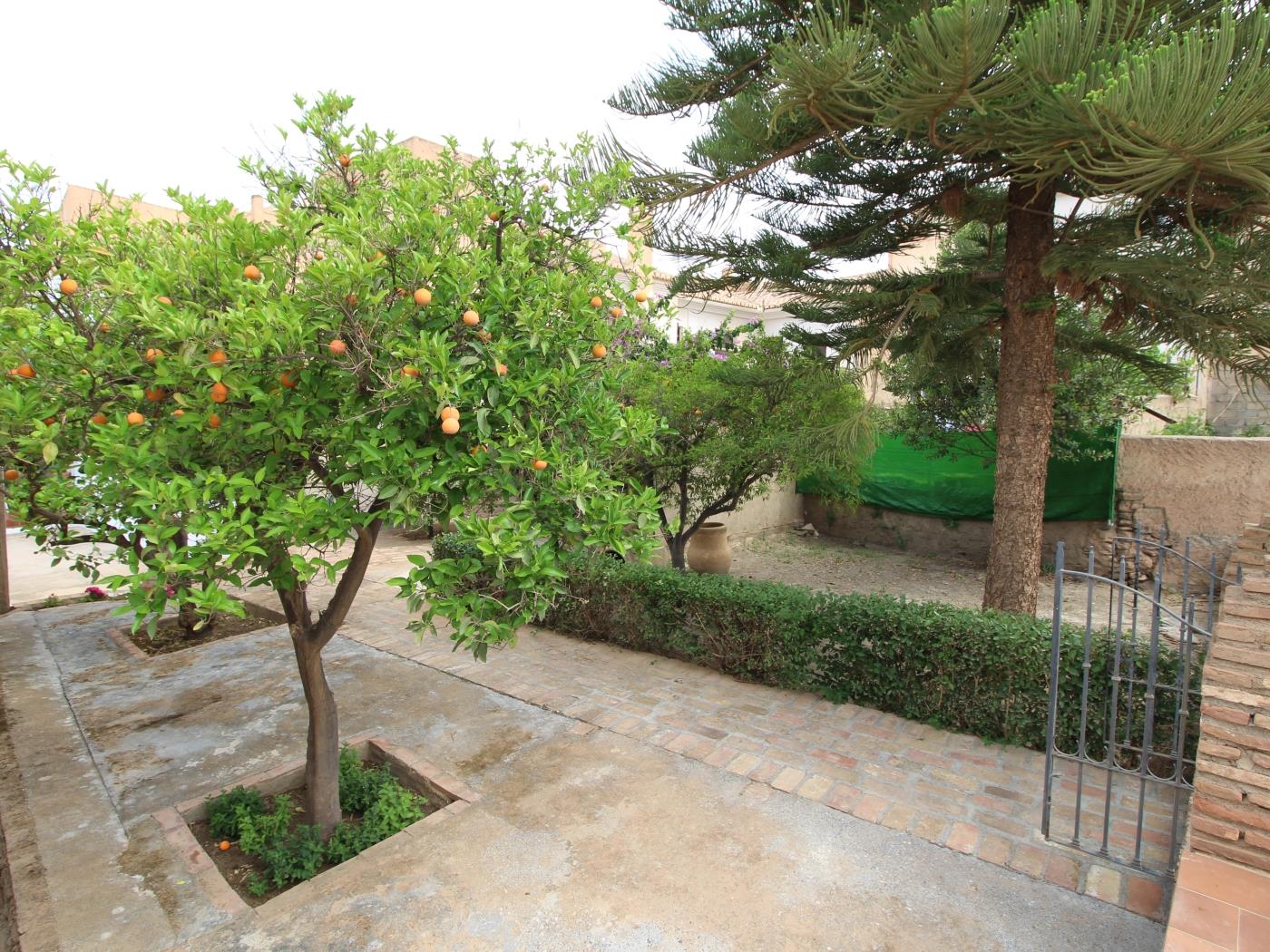 Casa Los Cipreses in El Valle