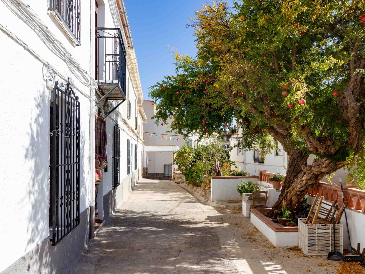 Casa de Las Granadas in Nigüelas