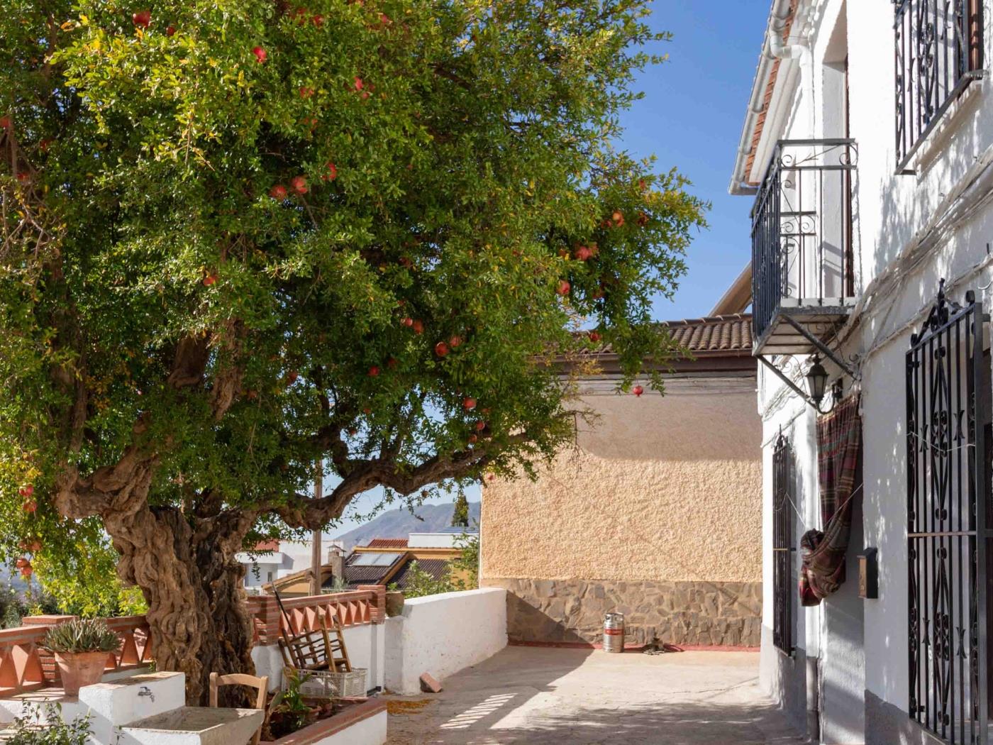 Casa de Las Granadas in Nigüelas