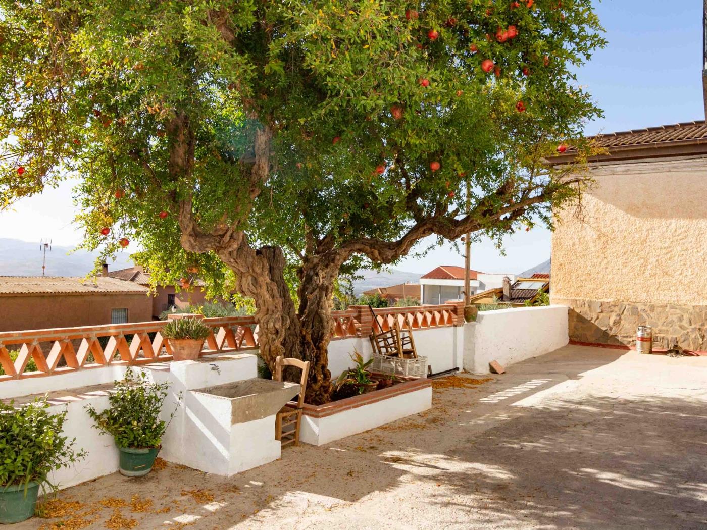 Casa de Las Granadas in Nigüelas