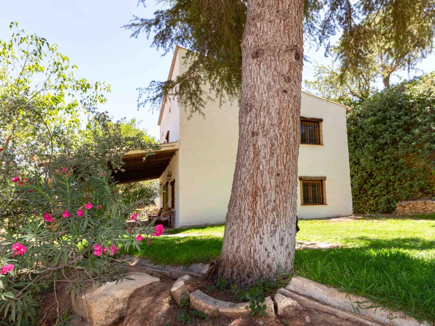 Rustikales Cortijo inmitten der Natur bei Conchar in Cónchar