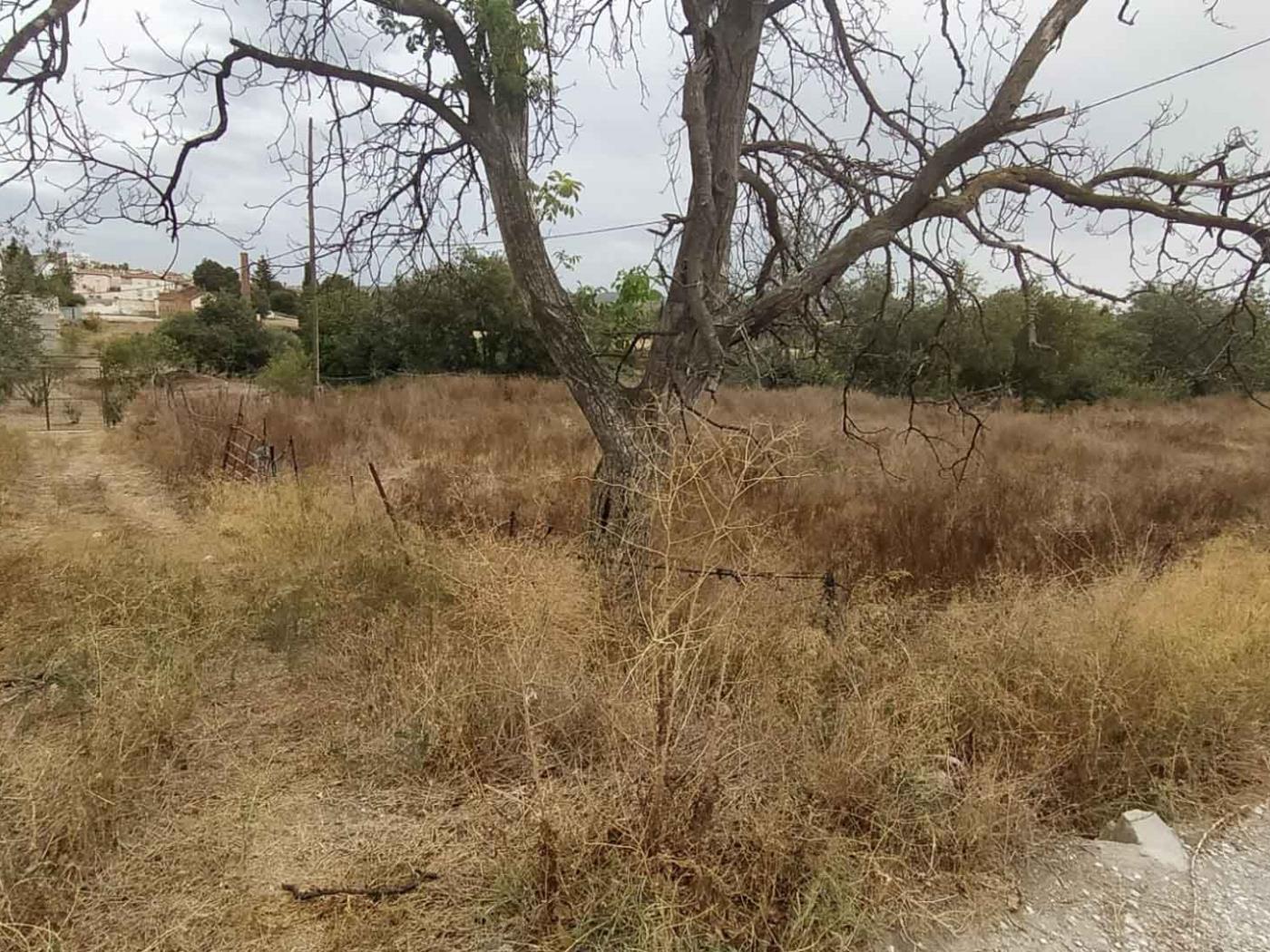 Plot with good access in Dúrcal. in Dúrcal