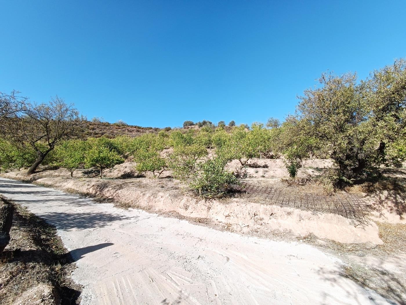 Ländliches Anwesen mit herrlichem Blick und einer 104 m2 Cortijo-Struktur in Restábal