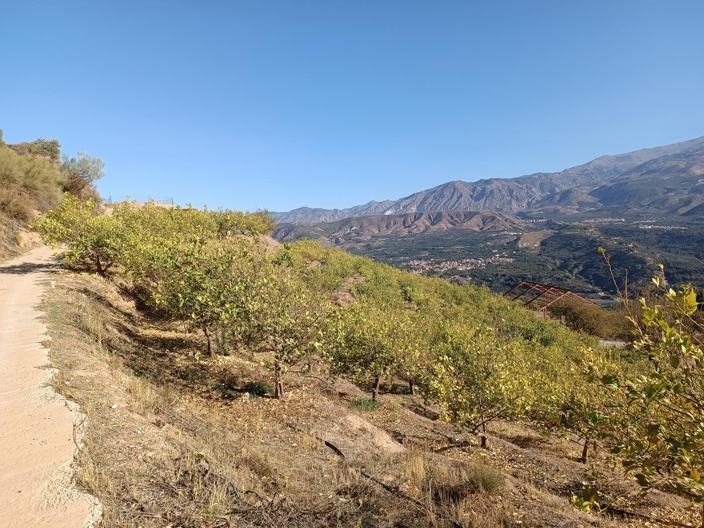 Ländliches Anwesen mit herrlichem Blick und einer 104 m2 Cortijo-Struktur in Restábal