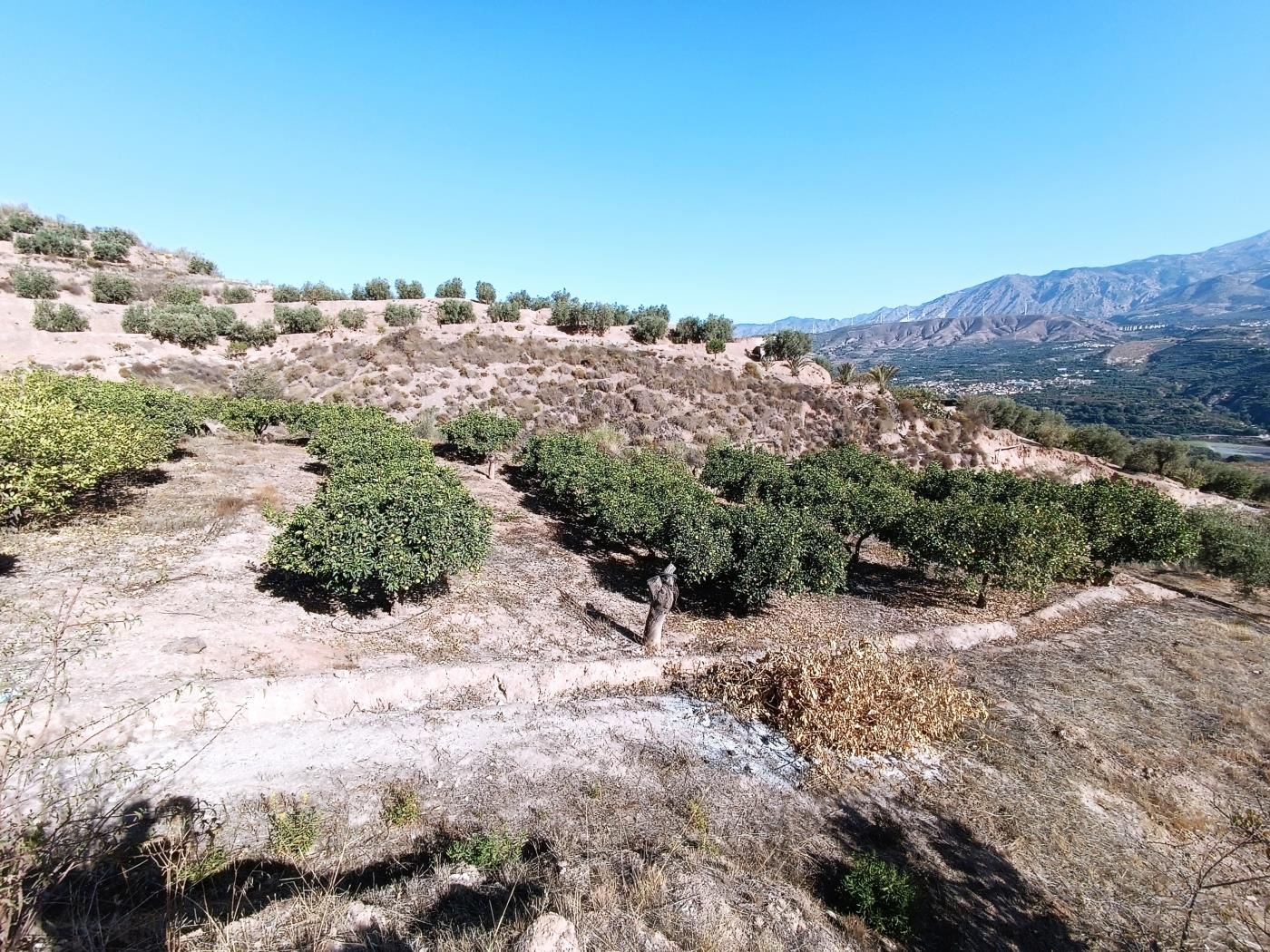 Ländliches Anwesen mit herrlichem Blick und einer 104 m2 Cortijo-Struktur in Restábal