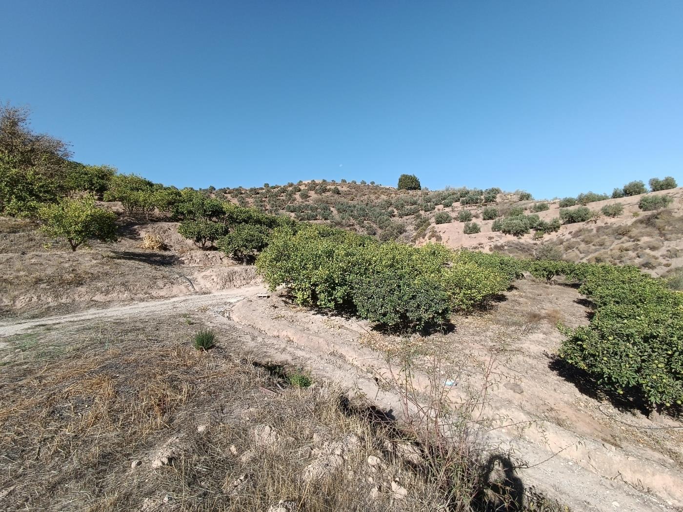 Ländliches Anwesen mit herrlichem Blick und einer 104 m2 Cortijo-Struktur in Restábal