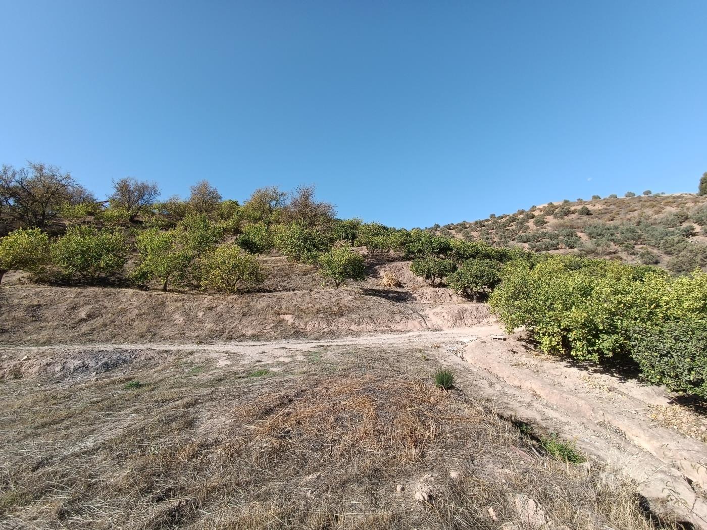 Ländliches Anwesen mit herrlichem Blick und einer 104 m2 Cortijo-Struktur in Restábal