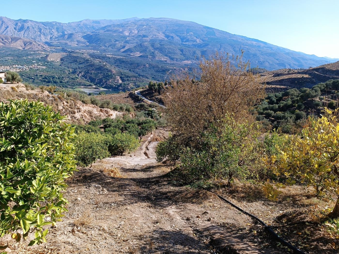 Ländliches Anwesen mit herrlichem Blick und einer 104 m2 Cortijo-Struktur in Restábal