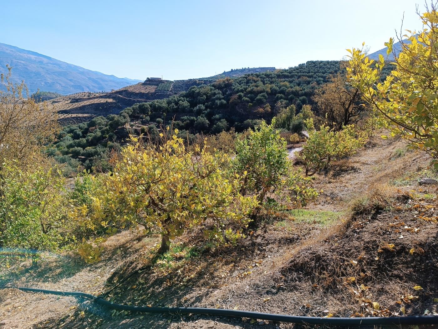 Ländliches Anwesen mit herrlichem Blick und einer 104 m2 Cortijo-Struktur in Restábal