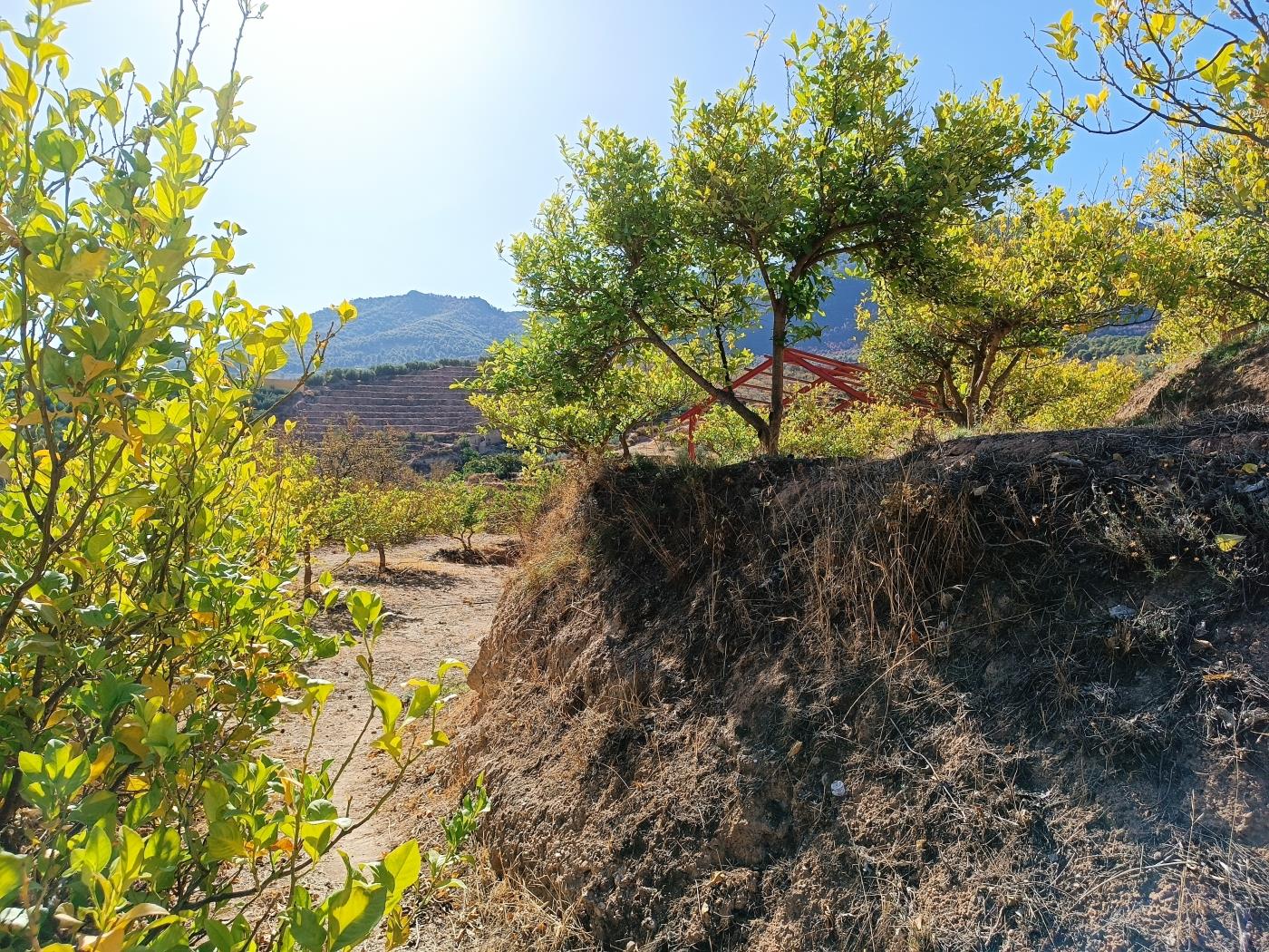 Ländliches Anwesen mit herrlichem Blick und einer 104 m2 Cortijo-Struktur in Restábal