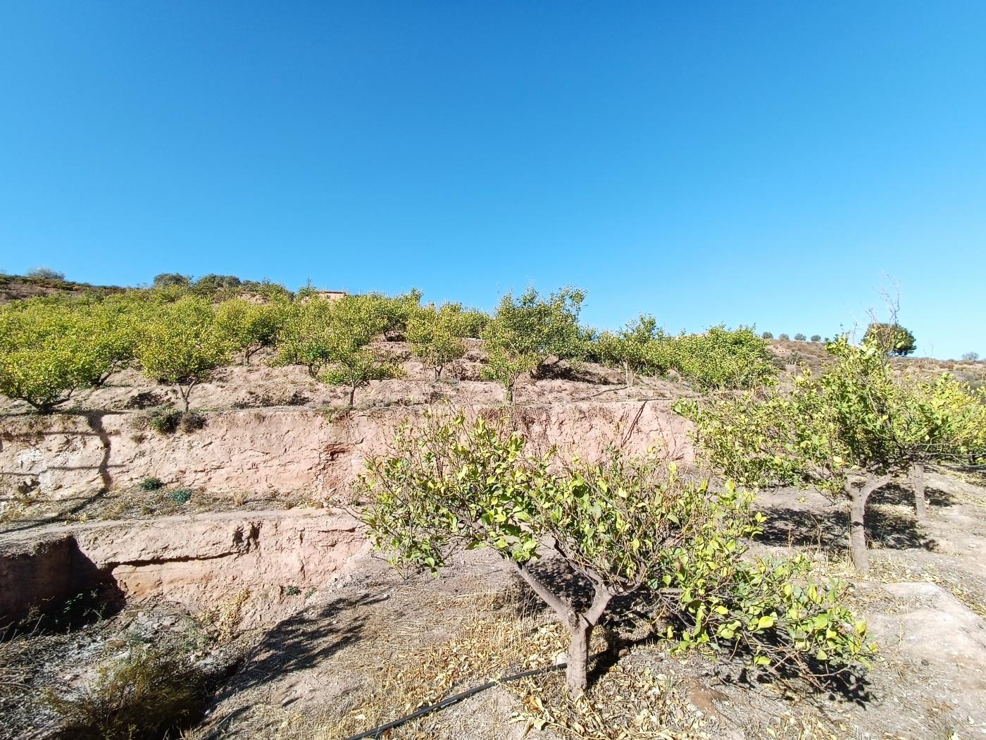 Ländliches Anwesen mit herrlichem Blick und einer 104 m2 Cortijo-Struktur in Restábal