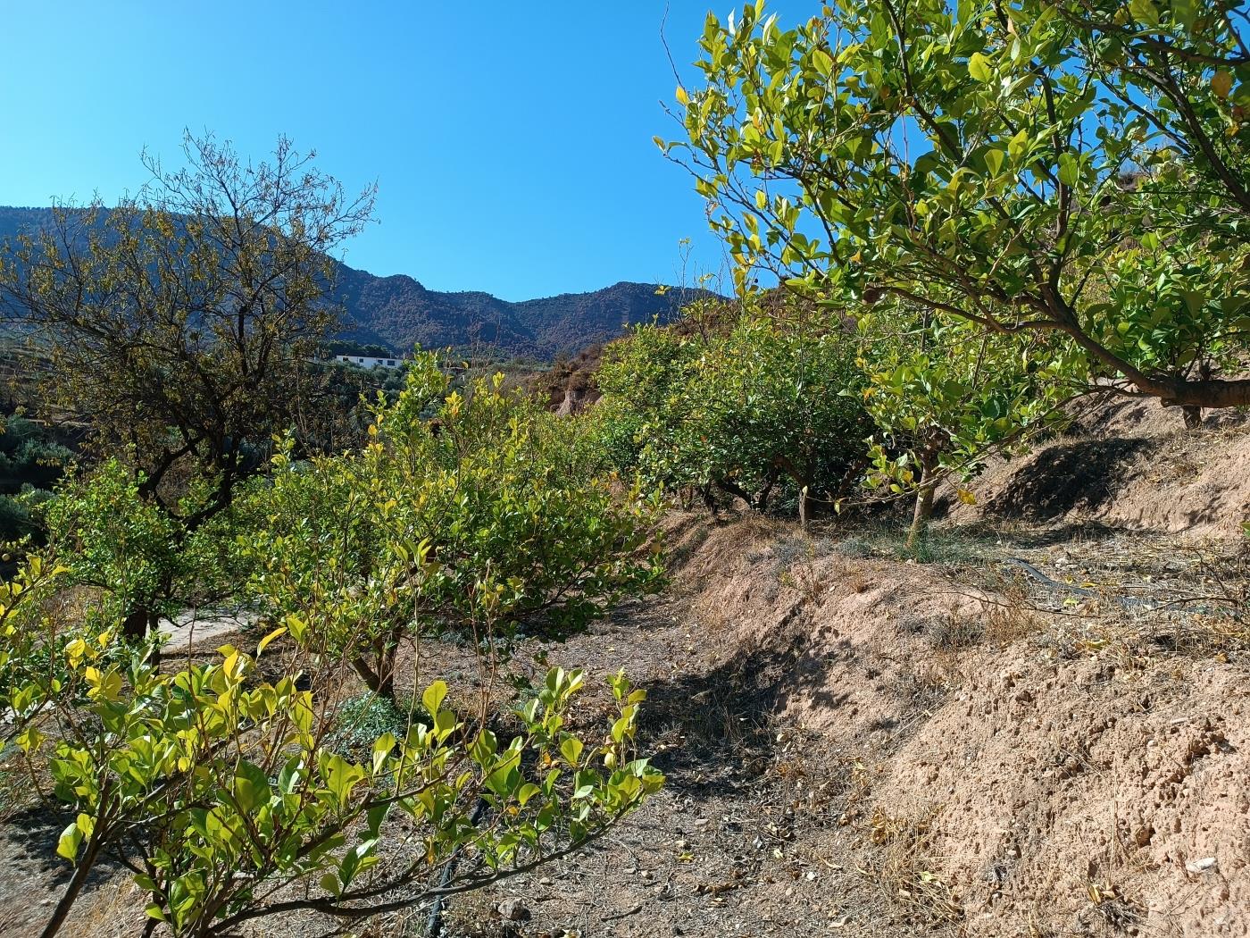 Ländliches Anwesen mit herrlichem Blick und einer 104 m2 Cortijo-Struktur in Restábal
