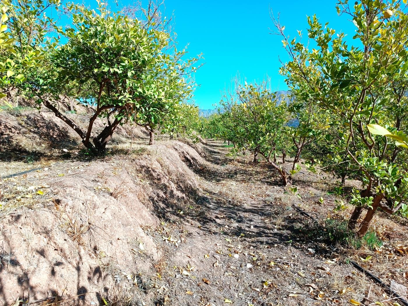 Ländliches Anwesen mit herrlichem Blick und einer 104 m2 Cortijo-Struktur in Restábal
