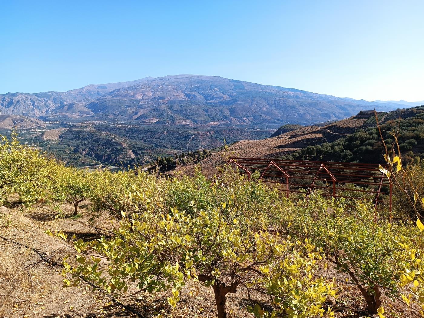 Ländliches Anwesen mit herrlichem Blick und einer 104 m2 Cortijo-Struktur in Restábal