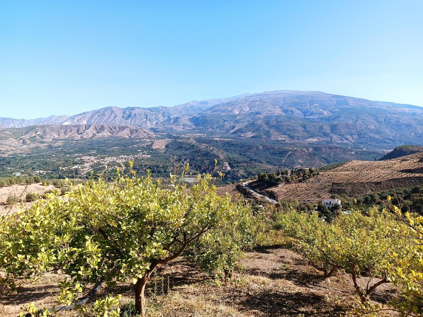 Ländliches Anwesen mit herrlichem Blick und einer 104 m2 Cortijo-Struktur in Restábal