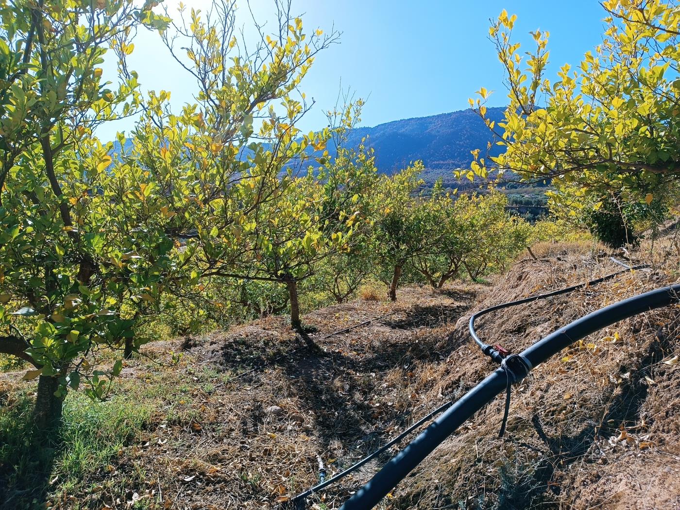 Ländliches Anwesen mit herrlichem Blick und einer 104 m2 Cortijo-Struktur in Restábal