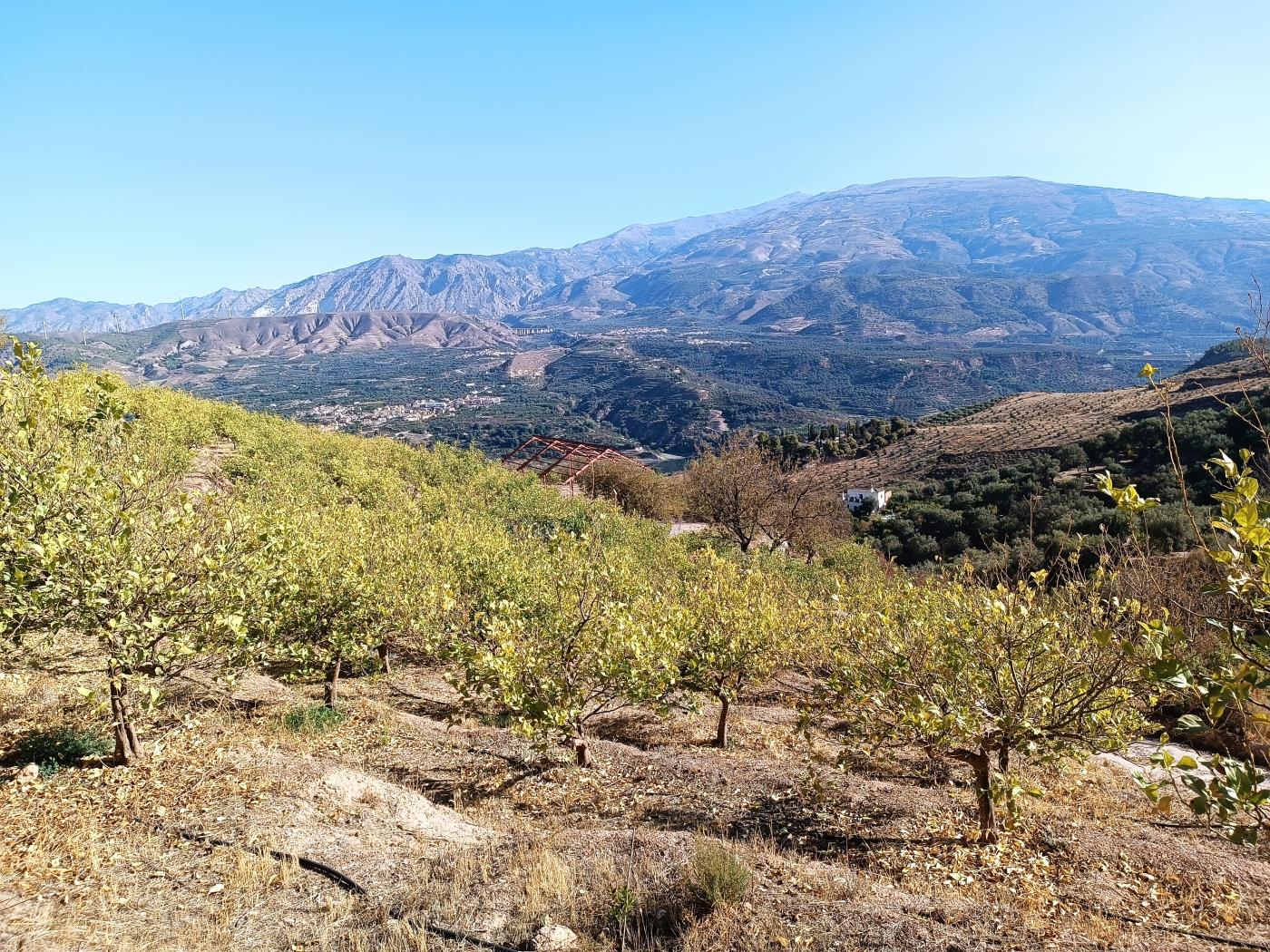 Ländliches Anwesen mit herrlichem Blick und einer 104 m2 Cortijo-Struktur in Restábal