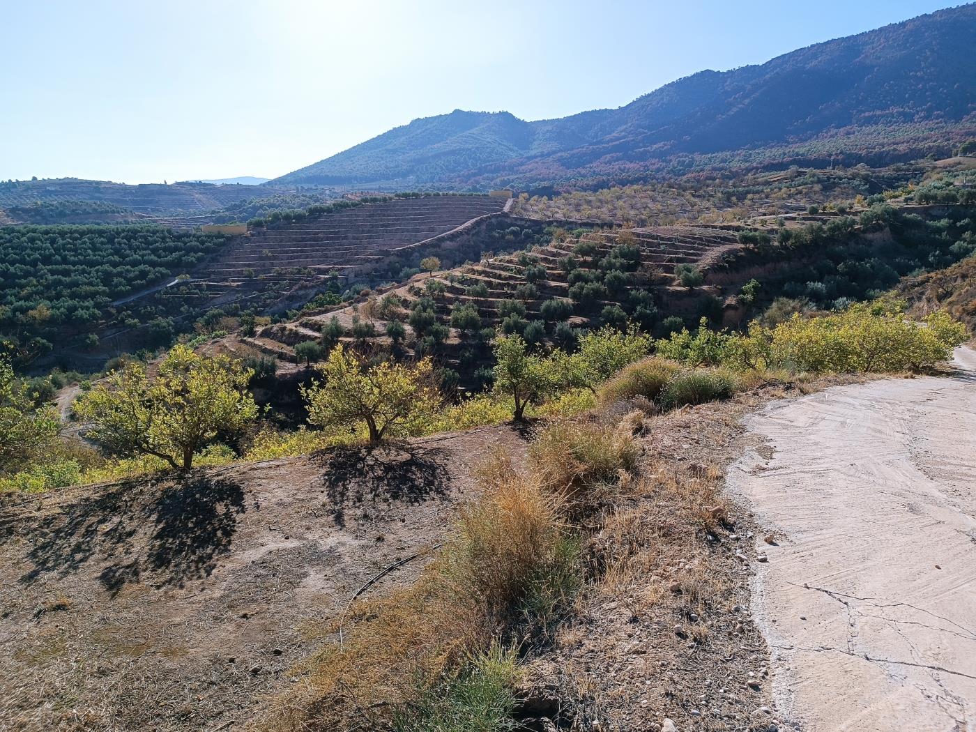 Ländliches Anwesen mit herrlichem Blick und einer 104 m2 Cortijo-Struktur in Restábal