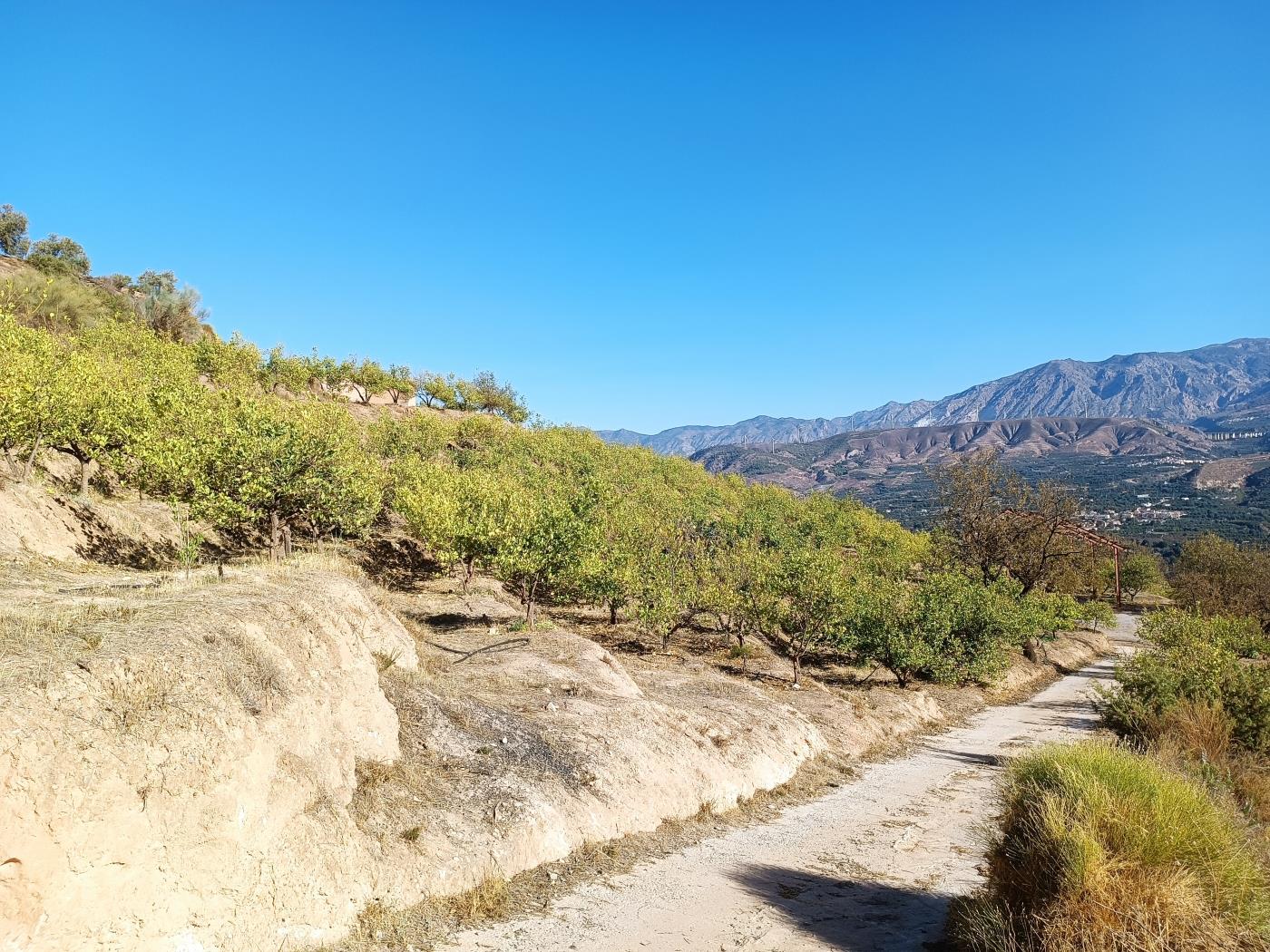 Ländliches Anwesen mit herrlichem Blick und einer 104 m2 Cortijo-Struktur in Restábal