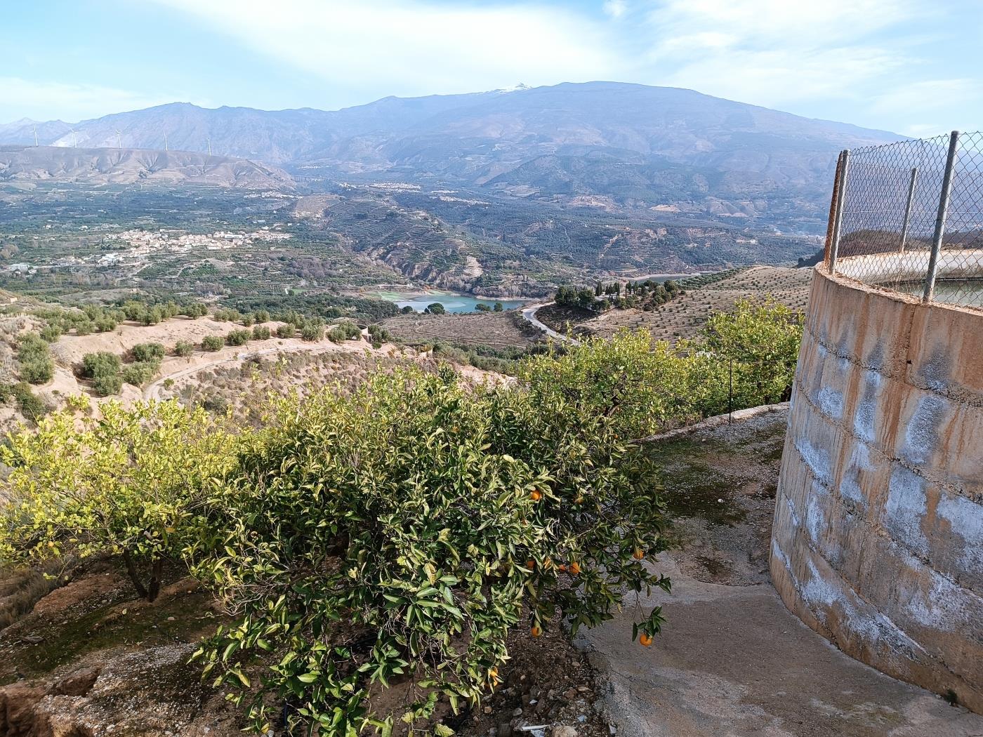 Verger d'orangers avec petite remise, étang d'irrigation et vue. à Restábal