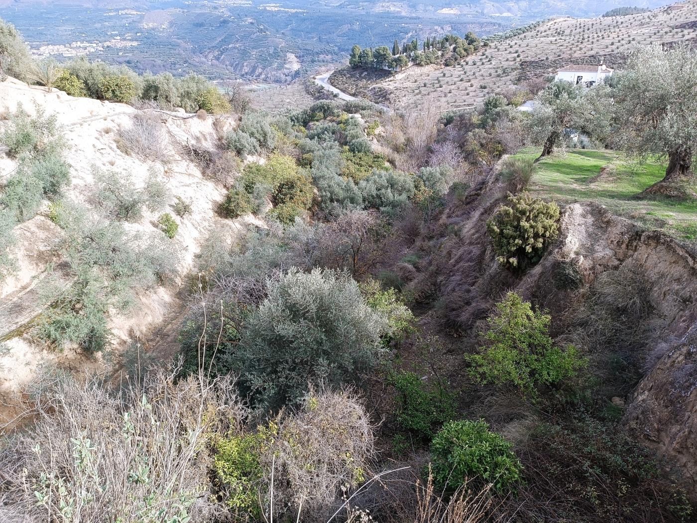 Verger d'orangers avec petite remise, étang d'irrigation et vue. à Restábal