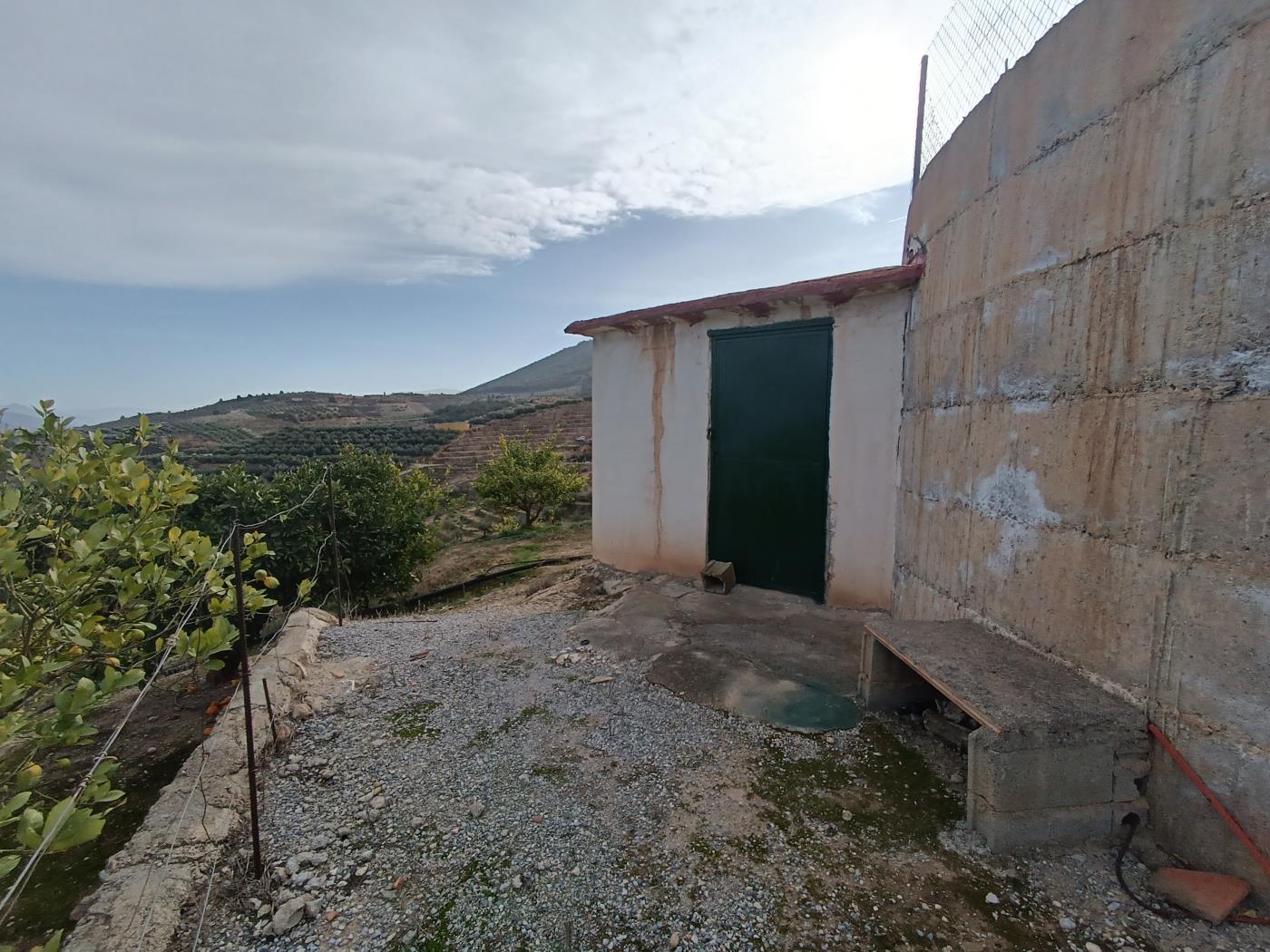 Verger d'orangers avec petite remise, étang d'irrigation et vue. à Restábal