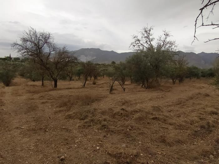 Leisure estate with communal well water and car access. in Dúrcal