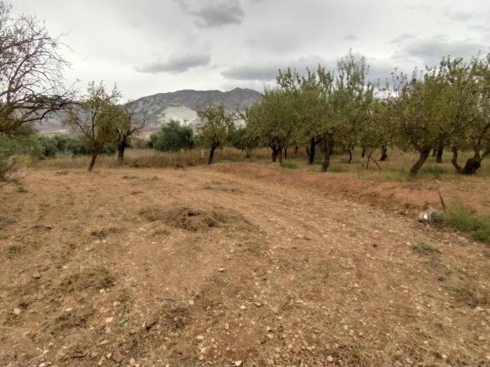 Leisure estate with communal well water and car access. in Dúrcal