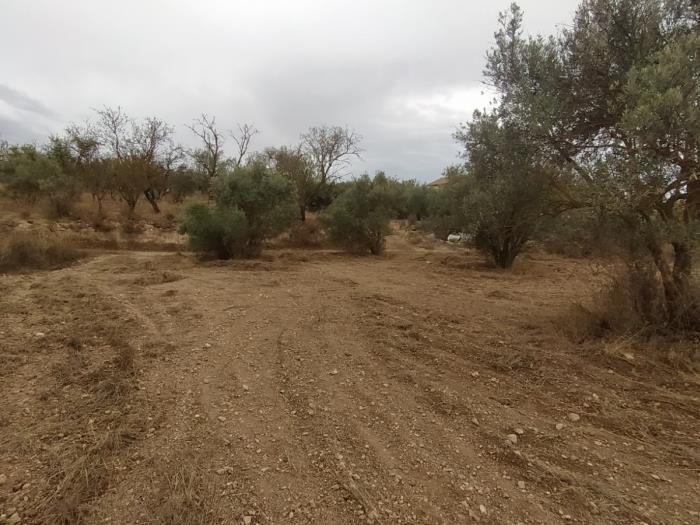 Leisure estate with communal well water and car access. in Dúrcal