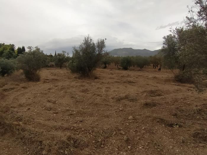 Leisure estate with communal well water and car access. in Dúrcal