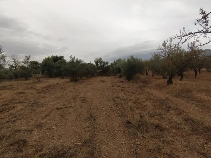 Leisure estate with communal well water and car access. in Dúrcal