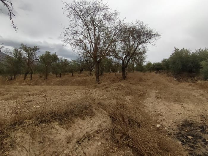 Leisure estate with communal well water and car access. in Dúrcal