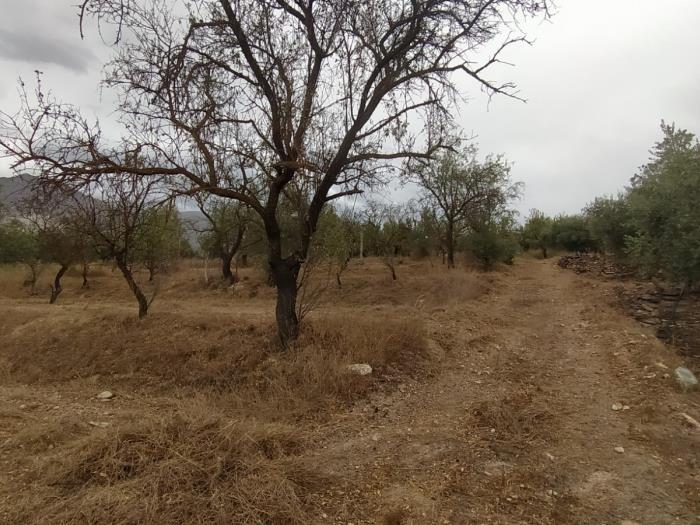 Leisure estate with communal well water and car access. in Dúrcal