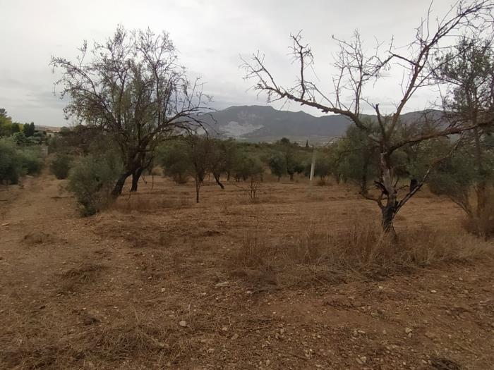 Leisure estate with communal well water and car access. in Dúrcal