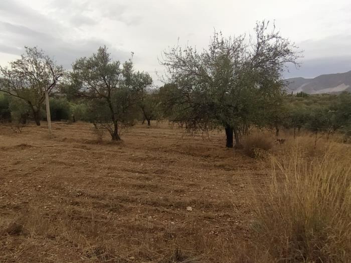 Leisure estate with communal well water and car access. in Dúrcal