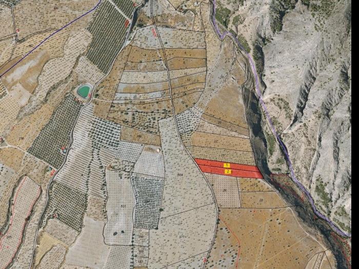 Domaine agricole irrigué avec un puits communautaire de 8000 m2 à Dúrcal. à Dúrcal