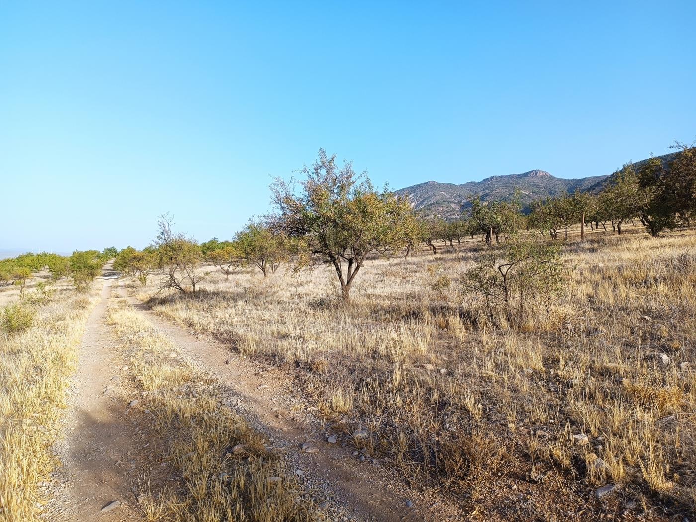 Domaine agricole irrigué avec un puits communautaire de 8000 m2 à Dúrcal. à Dúrcal