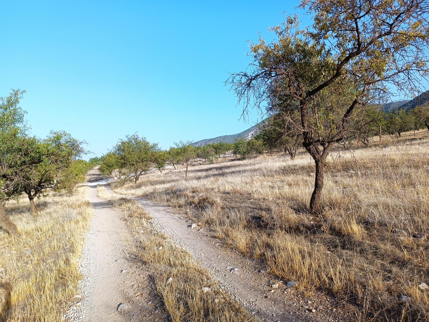 Domaine agricole irrigué avec un puits communautaire de 8000 m2 à Dúrcal. à Dúrcal