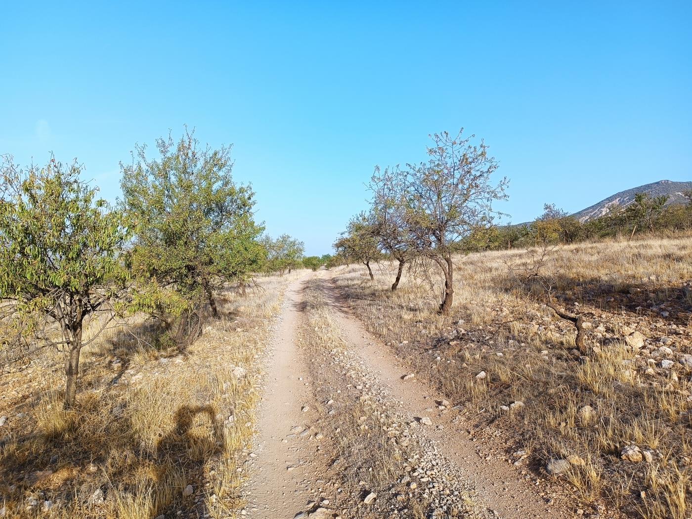 Domaine agricole irrigué avec un puits communautaire de 8000 m2 à Dúrcal. à Dúrcal