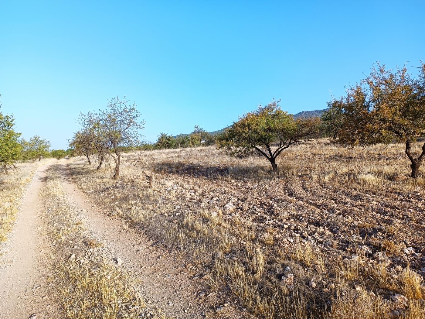 Domaine agricole irrigué avec un puits communautaire de 8000 m2 à Dúrcal. à Dúrcal
