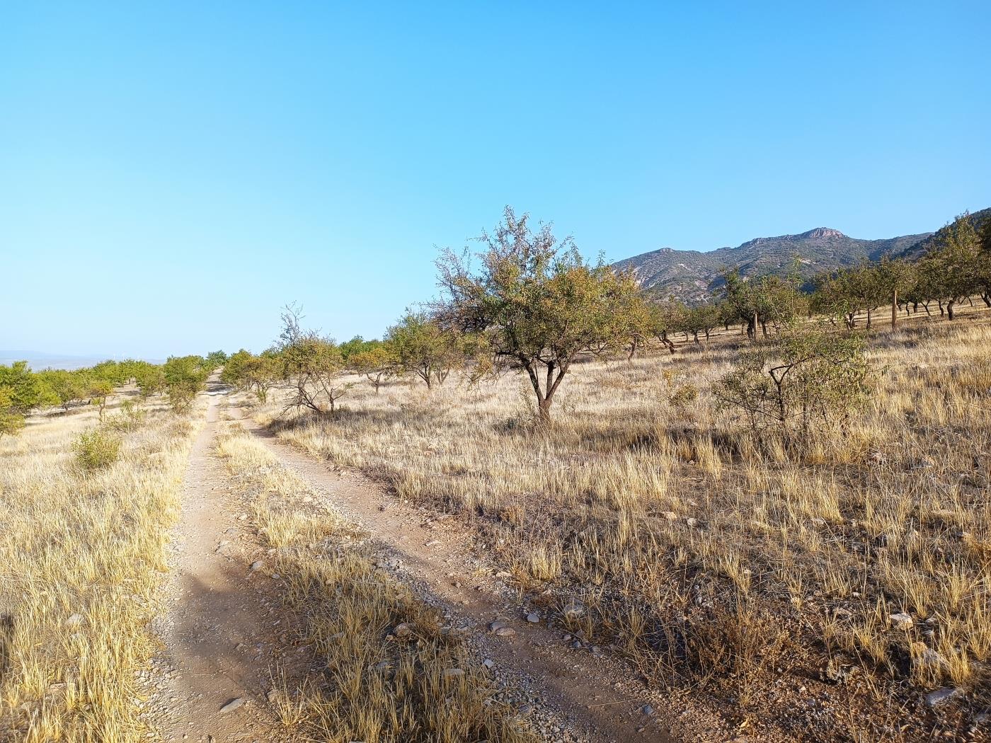 Domaine agricole irrigué avec un puits communautaire de 8000 m2 à Dúrcal. à Dúrcal