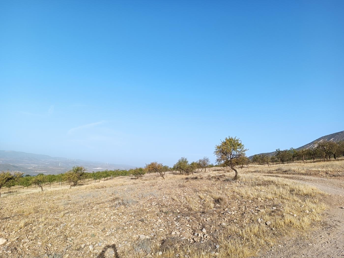 Domaine agricole irrigué avec un puits communautaire de 8000 m2 à Dúrcal. à Dúrcal