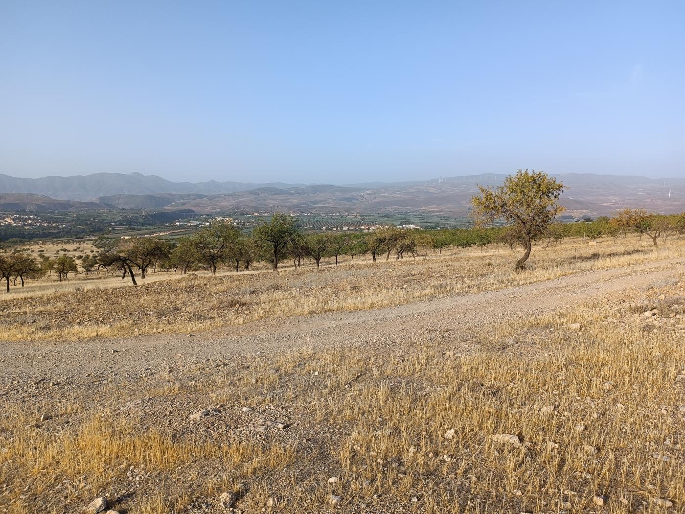 Domaine agricole irrigué avec un puits communautaire de 8000 m2 à Dúrcal. à Dúrcal