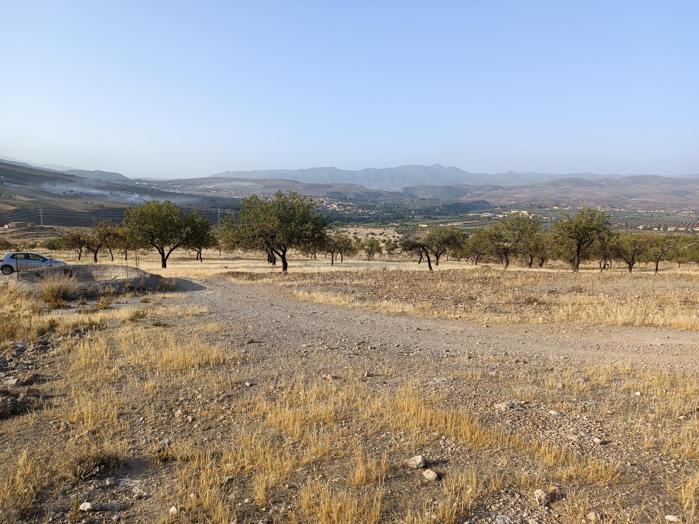 Domaine agricole irrigué avec un puits communautaire de 8000 m2 à Dúrcal. à Dúrcal