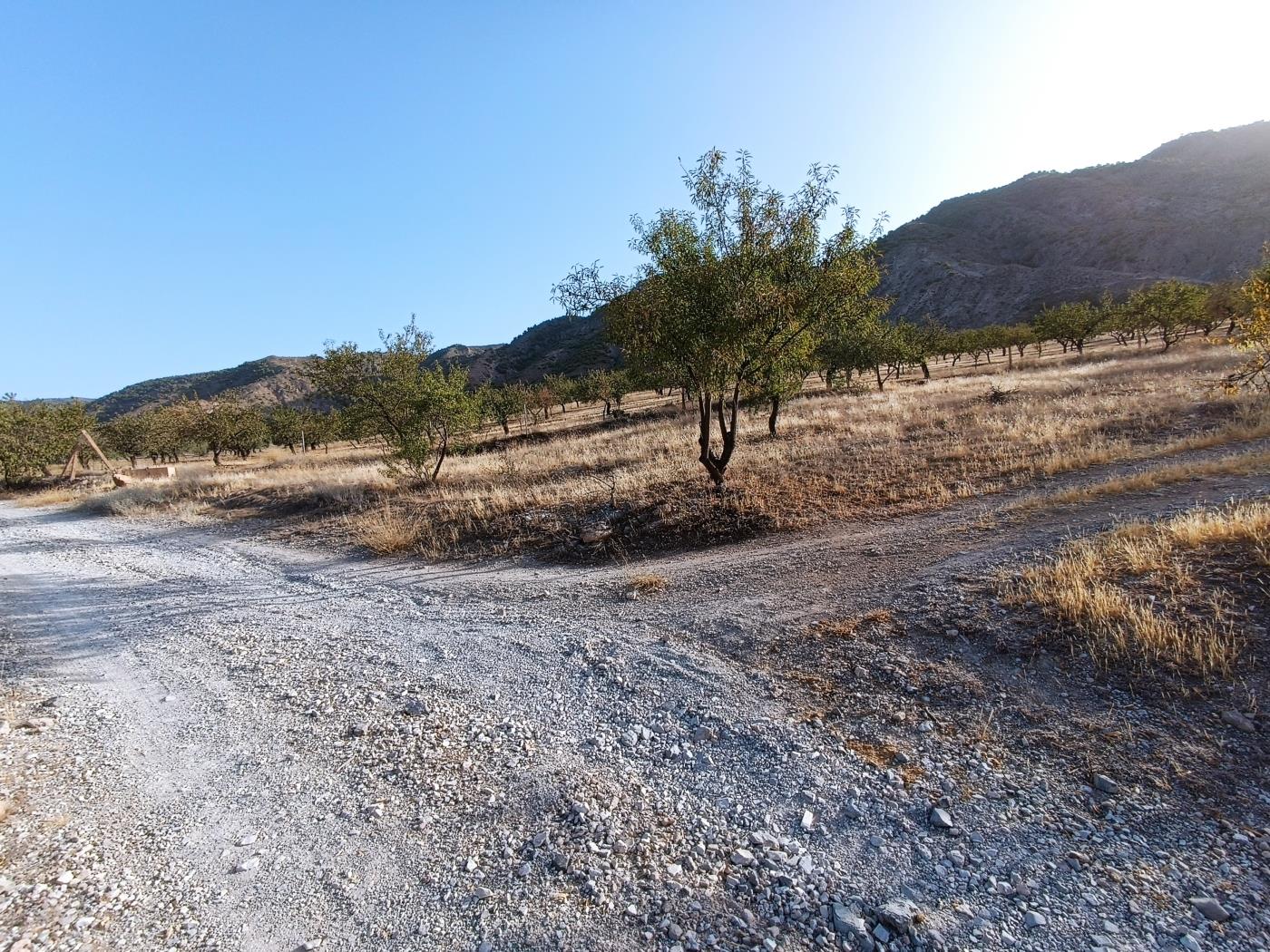 Domaine agricole irrigué avec un puits communautaire de 8000 m2 à Dúrcal. à Dúrcal