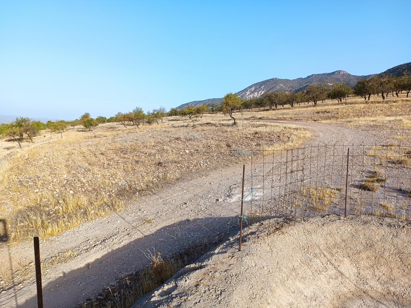 Domaine agricole irrigué avec un puits communautaire de 8000 m2 à Dúrcal. à Dúrcal